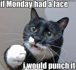 17 Funny Quotes and Jokes about Monday