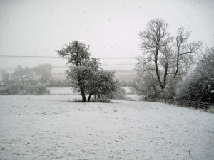 hoping for a snow day quotes as much as i do love the snow