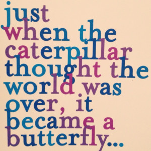 do in your life and the catapillar cocoon and butterfly is also a ...