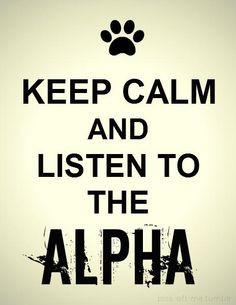... listen to the alpha # teenwolf more teen wolf 3 teen wolf stiles quote
