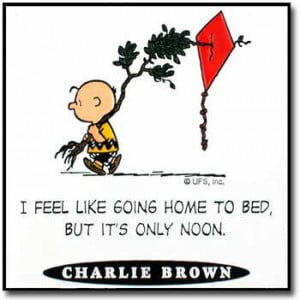 Peanuts Quotes - Charlie Brown - peanuts Photo