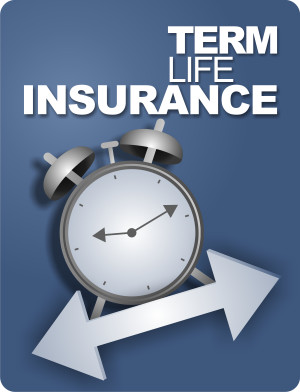 Term Life Insurance…