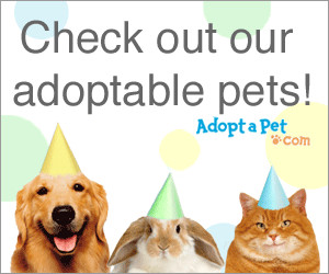 Animal Adoption Quotes Poems http://rezdogrescue.weebly.com/