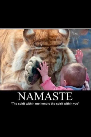 namaste - the spiritn within me honors the spirit within you