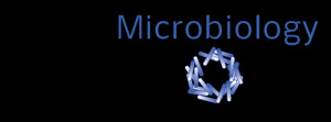 Sound Microbiology Laboratory, LLC