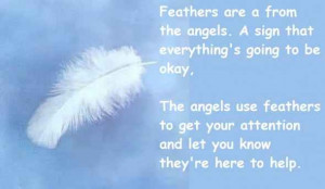 Feathers Are A From The Angels. A Sign That Everything’s Going To Be ...