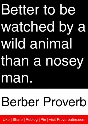 ... by a wild animal than a nosey man. - Berber Proverb #proverbs #quotes