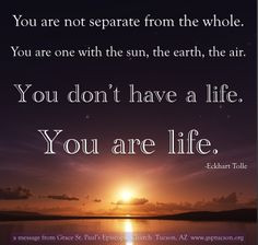 ... powerful_stroke_of_insight/transcript Watch it today if you can