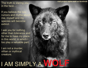 am simply a wolf - if only the wolf haters could know this - they ...