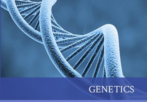 DNA Strand Under Microscope
