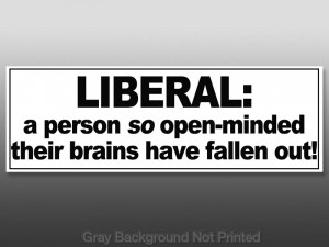 Details about Liberal So Open Minded Brains Fall Out Sticker -anti no