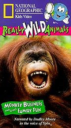 Really Wild Animals - Monkey Business and Other Family Fun ( 1996 )
