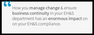 In essence, how you manage change and ensure business continuity in ...