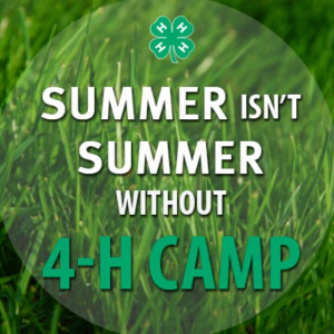 ... been to 4-H camp but I can say that summer isn't summer without 4-H