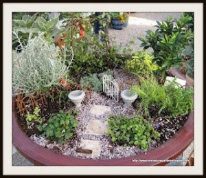 DIY fairy garden, super cute