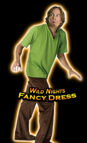 FANCY DRESS COSTUME ~ scooby doo DELUXE SHAGGY INC WIG