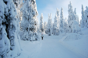 Lapland Finland