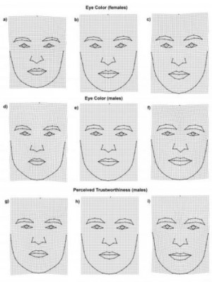 ... shape correlates with eye color (a–f) and trustworthiness (g–i