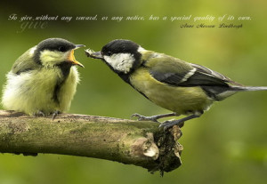 ... Reward, Or Any Notice Has A Special Quality Of Its Own. ~ Birds Quote