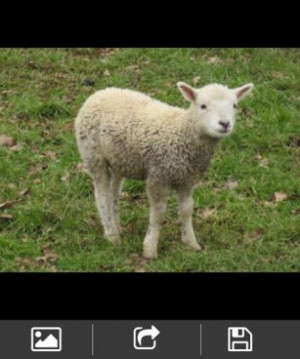 Get High Quality Pictures...