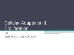 cellular adaptation? Describe the mechanisms of cellular injury for
