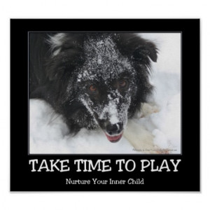 Take Time To Play Border Collie Inspirational Poster