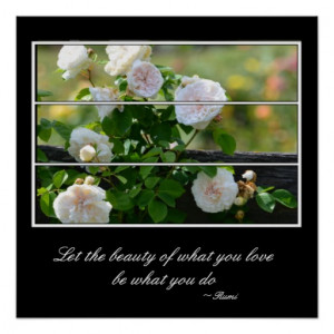 Rumi Quotes Posters