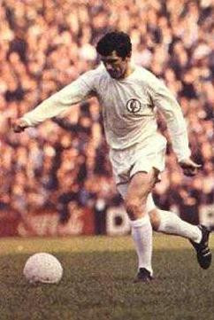 League Legends Season World