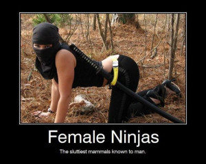 Funny Ninja Compilation (15 Pics)