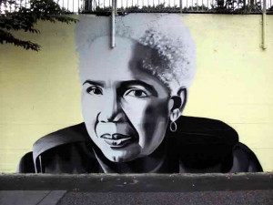 Breitbart, but Rosemary Walls up with drought-tolerant plants i put on ...