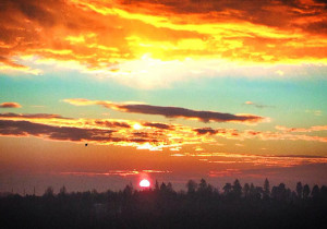 23 Paulo Coelho Quotes to Help You Find Your Life’s Purpose