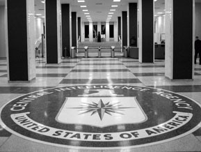... nation s top level intelligence talent economy politics add comments