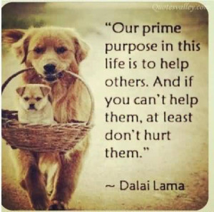 Our Prime Purpose In This Life Is To Help Others ~ Dalai Lama