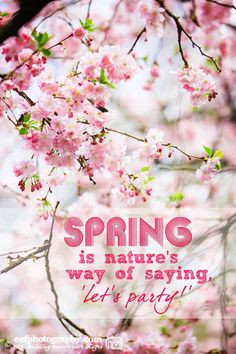 Inspiratie quote | spring is natures way of saying let's party! | www ...