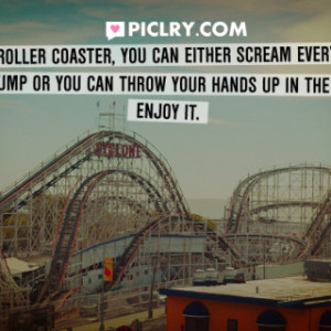 life is a roller coaster quote