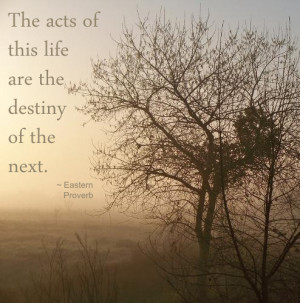 Think Before You Act React...