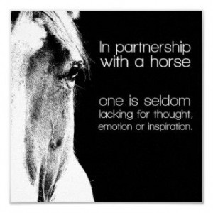160008589_horse-quotes-posters-horse-quotes-prints-art-prints-.jpg
