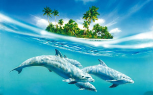 Dolphins in water ocean island Wide wallpapers