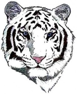 Sweet Face Tiger Tattoo Design