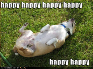 Happy Wednesday Quotes Dogs Happy wednesday woozle wrap-up