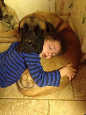 DOG-AND-BABY-SLEEPING-facebook.jpg