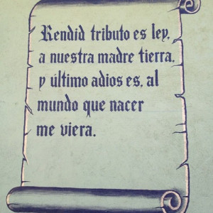 no filter quotes tumblr