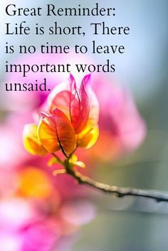Great Reminder: Life is short, There is no time to leave important ...