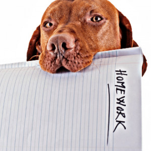 62 Motivational Quotes about Excuses (aka Bad Habits in Disguise)