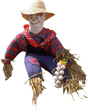 Funny Scarecrow