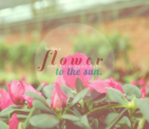Tumblr Floral Photography Quotes Photo quote: i want everything