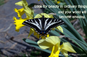 Look for Beauty Inspirational Quote, FlowerPatchFarmhouse.com