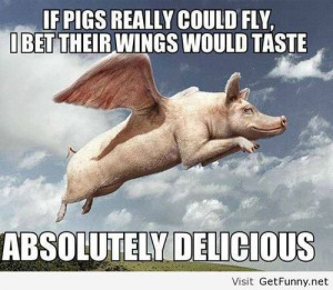 Flying pig - Funny Pictures, Funny Quotes, Funny Memes, Funny Pics ...