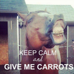 Silly horses. Keep calm. Horse quotes and sayings. Cowgirl life ...