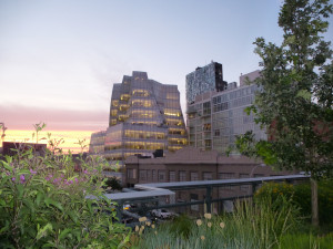 Cedar Rapids Iowa Skyline River